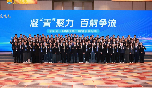 凝“青”聚力，百舸争流 | 爱游戏干部学校2024年第二届培训学习班圆满结束